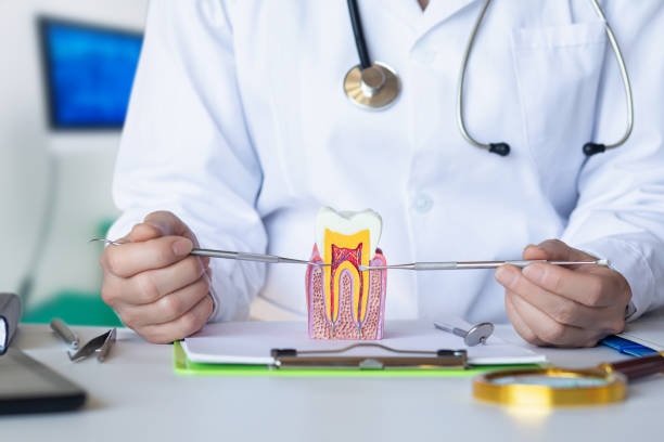 Best Emergency Dentist for Lost Fillings or Crowns in Meridian, TX